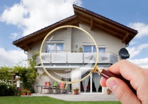 house magnifying glass